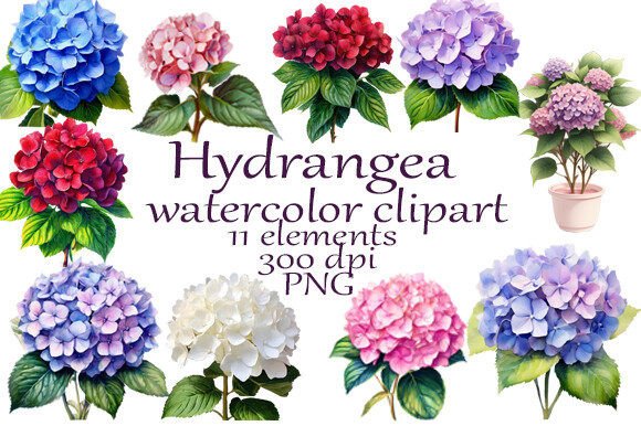 Hydrangea Watercolor Clipart PNG: Design Asset Deep Dive