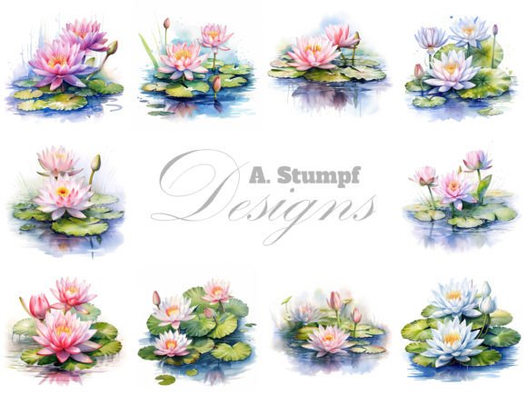 Water Lily Clipart Watercolor Flower Set for Branding