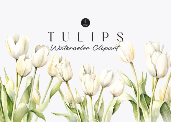 Watercolor White Tulips Clipart: A Versatile Design Asset