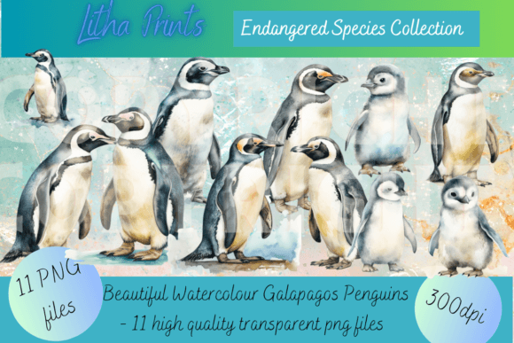 Watercolour Galapagos Penguins: A Playful Display Font for Bold Branding