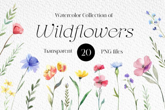 Wildflowers Watercolor Clipart PNG Set